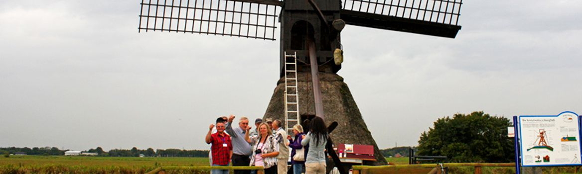 Bockmühle in der Wilstermarsch Bockmühle bei Wister